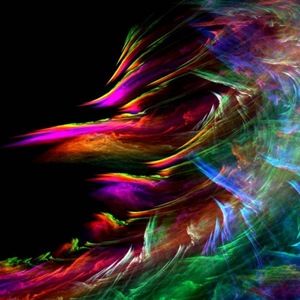 Meet your Posher, Walid